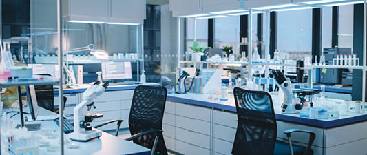 Modern Empty Biological Applied Science Laboratory with Technological Microscopes, Glass Test Tubes, Micropipettes and Desktop Computers and Displays. PC's are Running Sophisticated DNA Calculations.